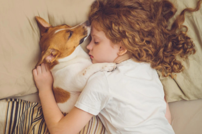 Why Organic Waterproof Mattress Protectors Are Best for Bedwetting Pets