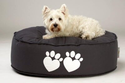 Waterproof Mattress Protector for Bedwetting vs. Waterproof Pet Bed