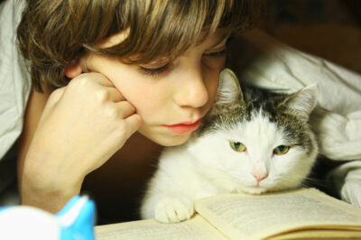 Pet-friendly Organic Waterproof Mattress Protectors for Bedwetting